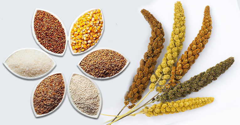 The Goodness of Millets