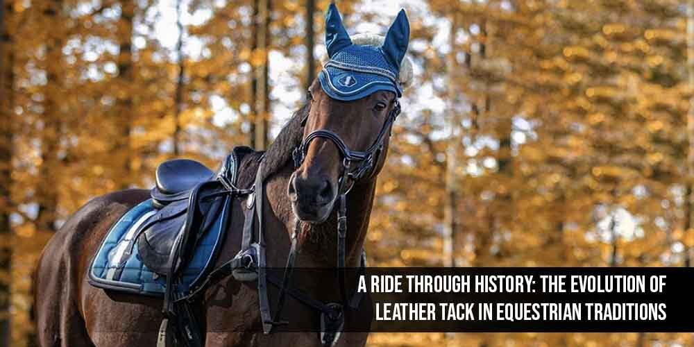 A Ride Through History: The Evolution of Leather Tack in Equestrian Traditions