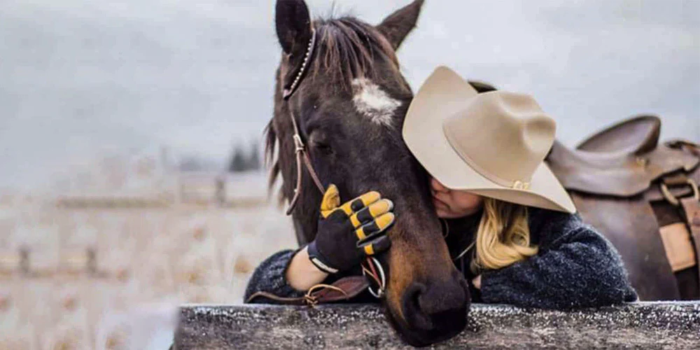 The Bond Between Horse and Rider: Building Trust and Connection