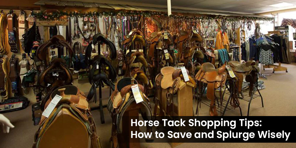 Horse Tack Shopping Tips: How to Save and Splurge Wisely