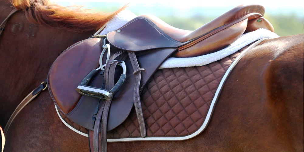How to Choose the Perfect Saddle for your Horse?
